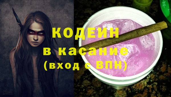 индика Вязники